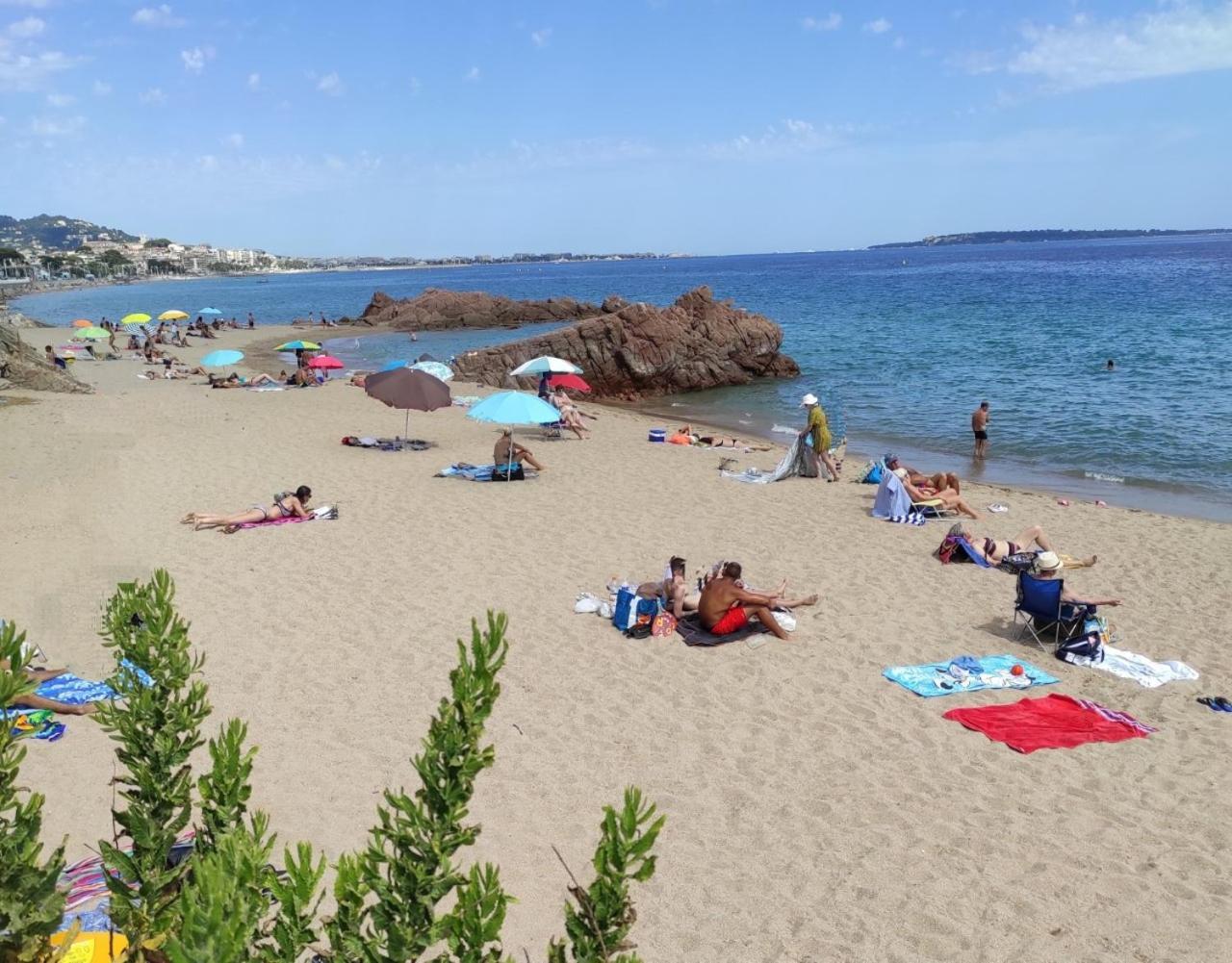 Agreable Chambre D'Hote A 50M De La Mer Cannes Eksteriør billede